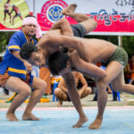 第3月 ナヨン月(5月から6月頃)
「ラカイン民族の日」はナヨン月満月の翌日。
ラカイン族の男性たちがレスリングに燃える。
ヤンゴン