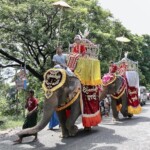 第9月 ナドー月(11月から12月頃)
得度式では「シンラウンレー」といって近所を行進する。
その行進、都市部では車やサイカーと呼ばれる自転車、村では馬、裕福な人は象に乗る。
マンダレー