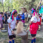 第11月 ダボドゥエー月(1月から2月頃)
1月15日「カヤー州の日」の式典ではさまざまな競技がおこなわれていた。
杵と臼を使っておこなわれる米の籾殻取り競争では首長族ともいわれるカヤン族の女性も参戦。
カヤー州ロイコー